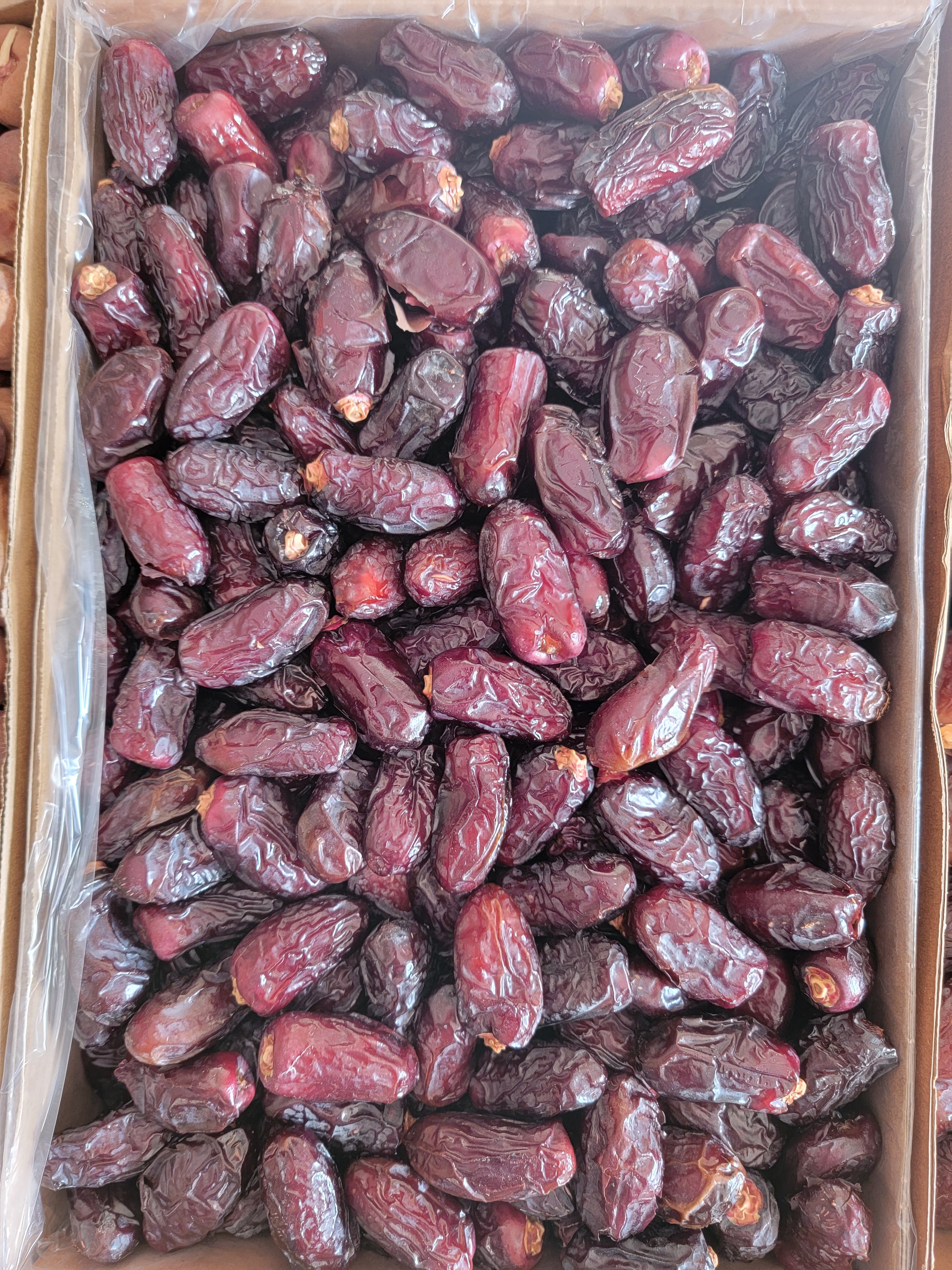 صفاوي المدينة