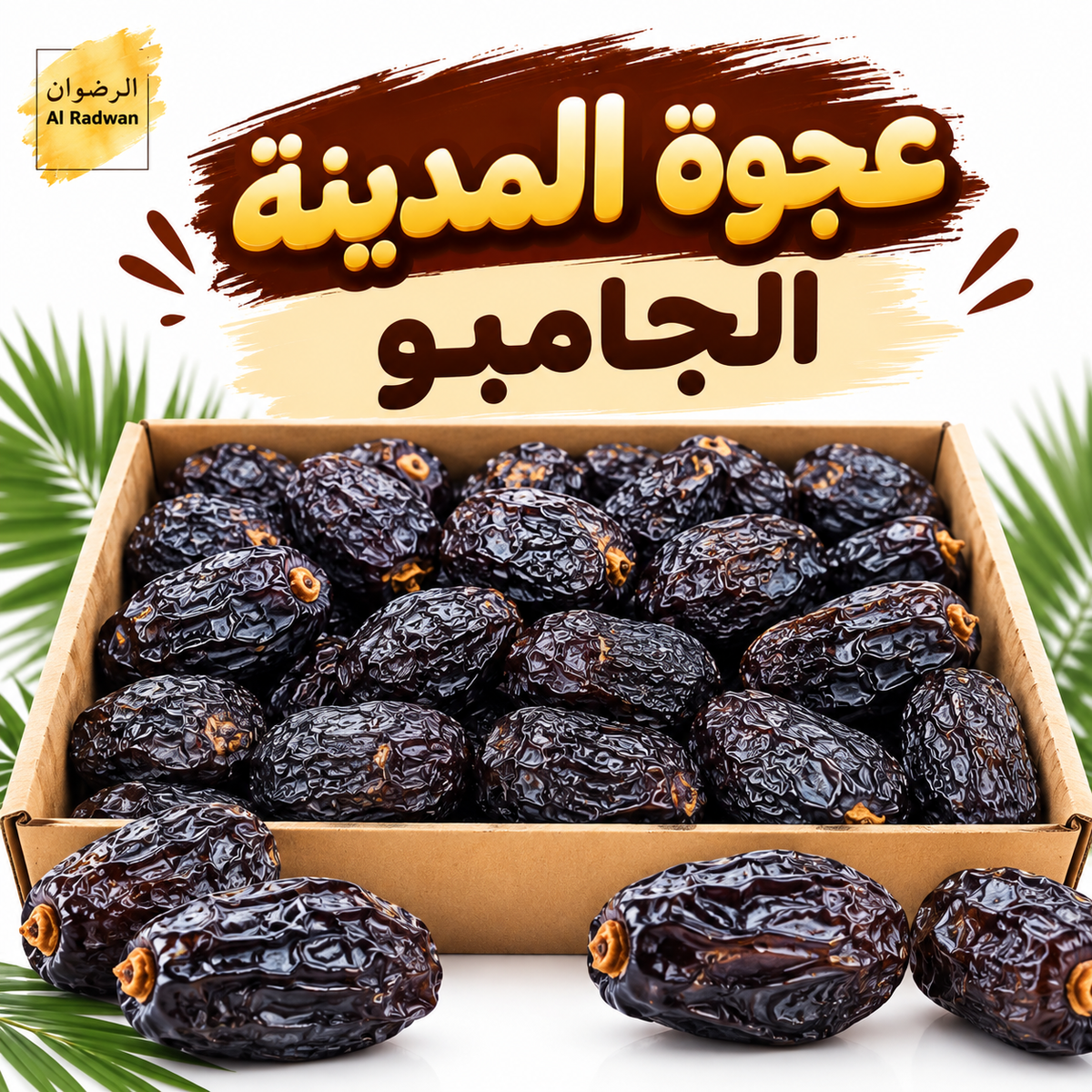 عرض عجوة المدينة  جامبو