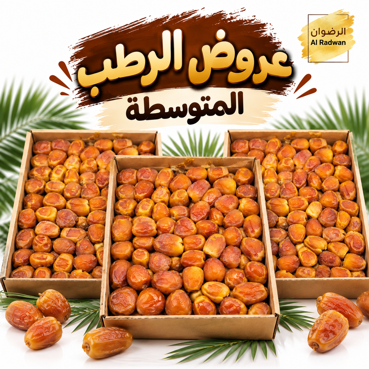عرض الرطب المتوسطة
